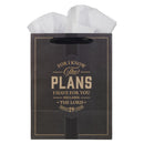 I Know the Plans Jer. 29:11 Gift Bag LG Portrait