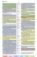 KJV Rainbow Study Bible-Hardcover