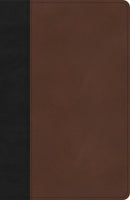 KJV Thinline Bible-Black/Brown LeatherTouch
