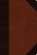 ESV Student Study Bible-Brown/Cordovan Portfolio Design TruTone