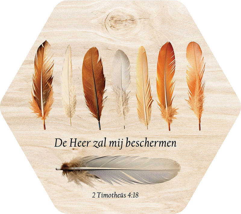 De Heer zal mij beschermen groot