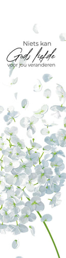 Niets kan Gods liefde voor jou veranderen Boekenlegger