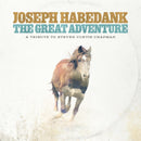 The Great Adventure: A Tribute to Steven Curtis Chapman (cd)