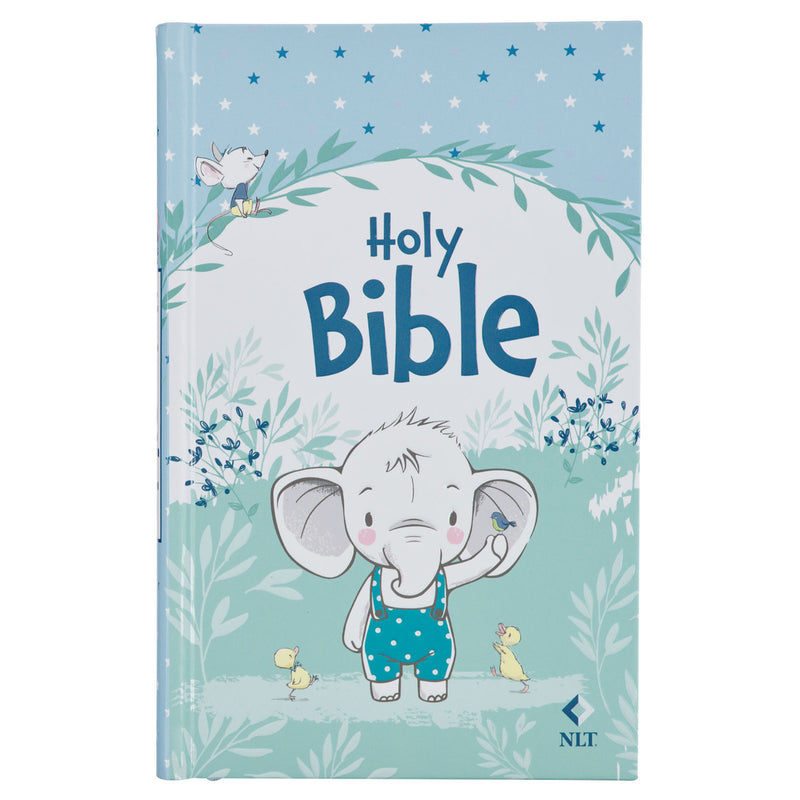 Keepsake Bible for Boys Hardcover
