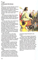 De kinderbijbel in 365 verhalen