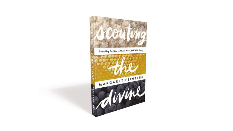 Scouting The Divine-Softcover