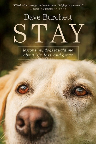 Stay-Hardcover