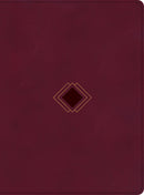 CSB Day-By-Day Chronological Bible-Burgundy LeatherTouch