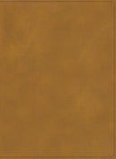 Span-RVR 1960 Holy Land Illustrated Bible (Biblia ilustrada de la Tierra Santa)-Coffee LeatherTouch Indexed