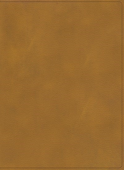 Span-RVR 1960 Holy Land Illustrated Bible (Biblia ilustrada de la Tierra Santa)-Coffee LeatherTouch Indexed