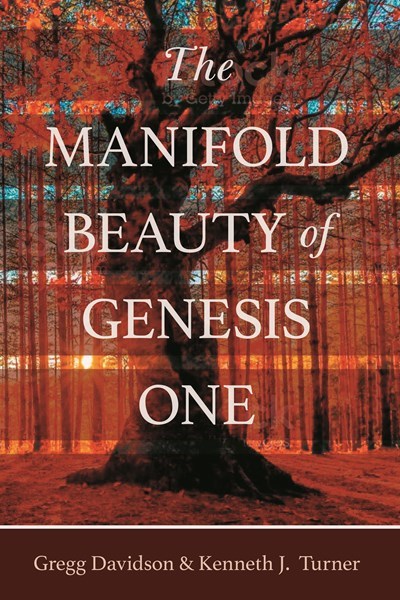 The Manifold Beauty Of Geneis One