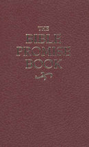 The Bible Promise Book (KJV)