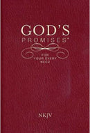 God's Promises For Your Every Need