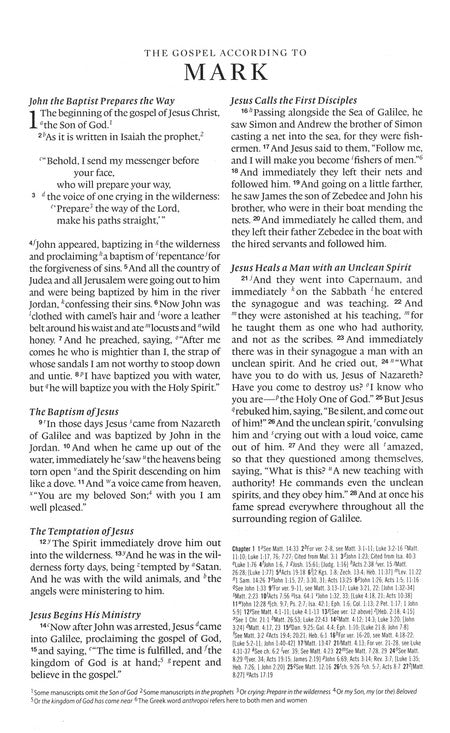 Reference bible thinline