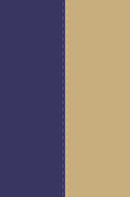 NVI/NIV Spanish-English Bilingual Bible (NVI/NIV Biblia Bilingue)-Blue/Ivory DuoTone