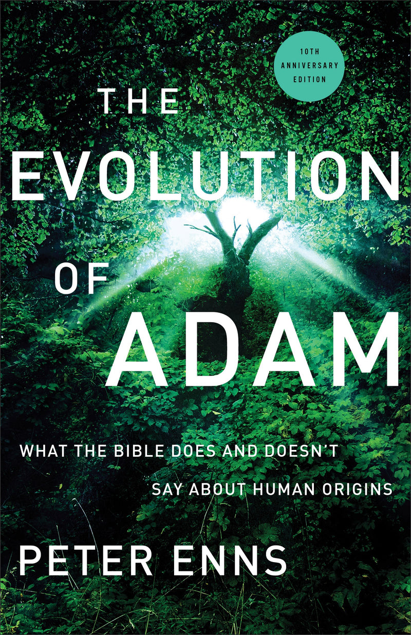 The Evolution Of Adam