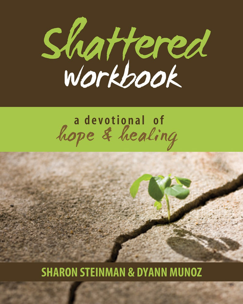 Shattered Workbook
