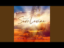 Best of Sam Levine: Hymns & Gospel Favorites (CD)
